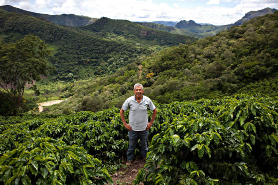 Bolivia | El Fuerte | Los Rodriguez | Java Coco Natural