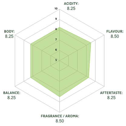 svg_spiderchart_0_fff_500x500_8.5_8.25_8.5_8.25_8.25_8.25.png