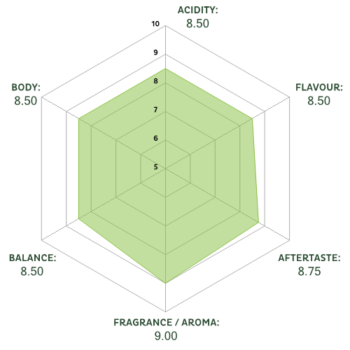 svg_spiderchart_0_fff_500x500_9_8.75_8.5_8.5_8.5_8.5.png