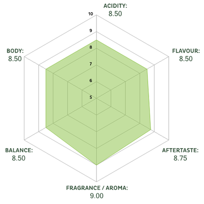 svg_spiderchart_0_fff_500x500_9_8.75_8.5_8.5_8.5_8.5.png